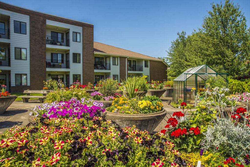 King City Senior Village outdoor common area