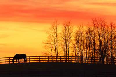 Photo of Aspen Alcove of Bardstown