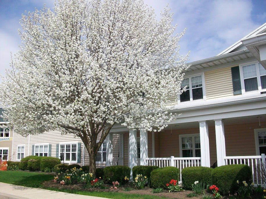 Photo of Brentland Woods, Episcopal SeniorLife Communities