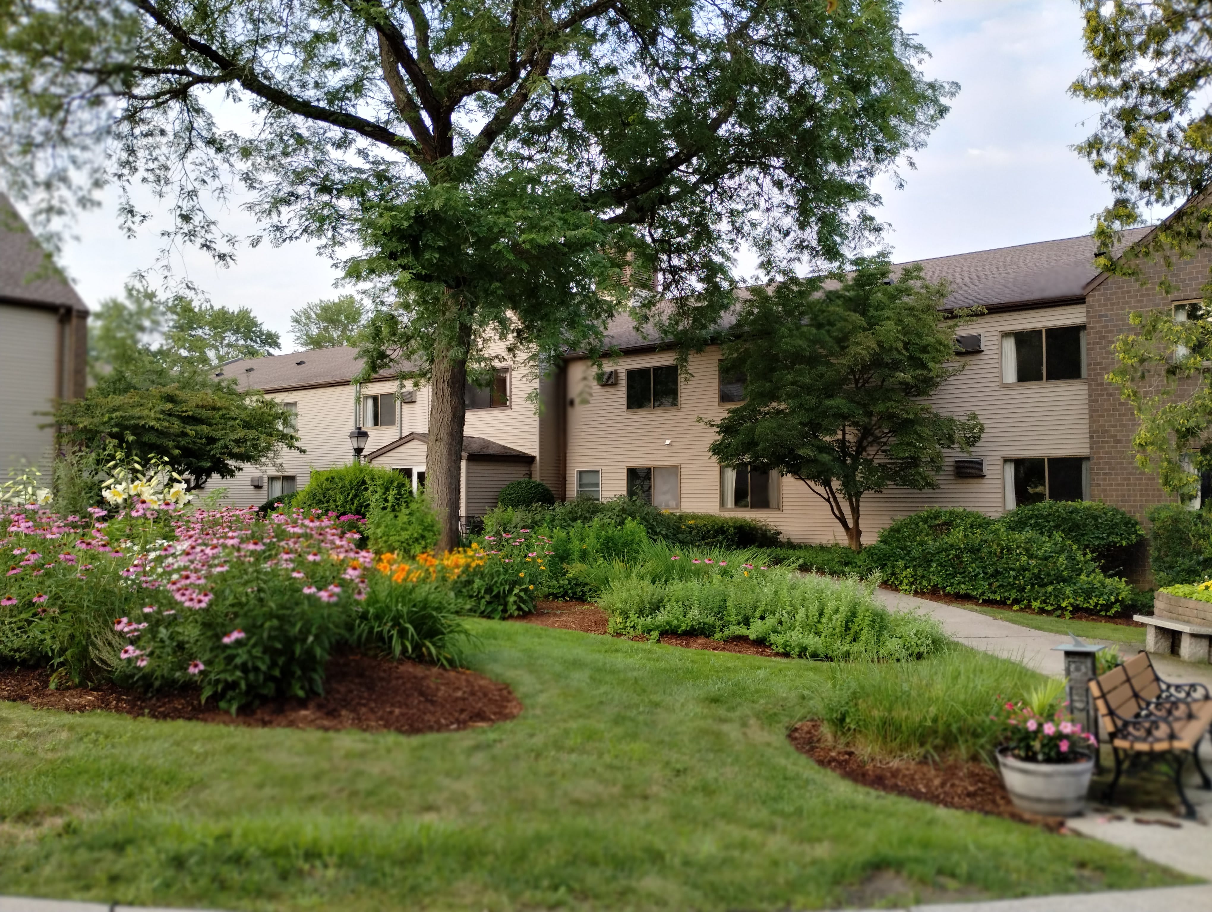 Photo of Day Brook Village Senior Living