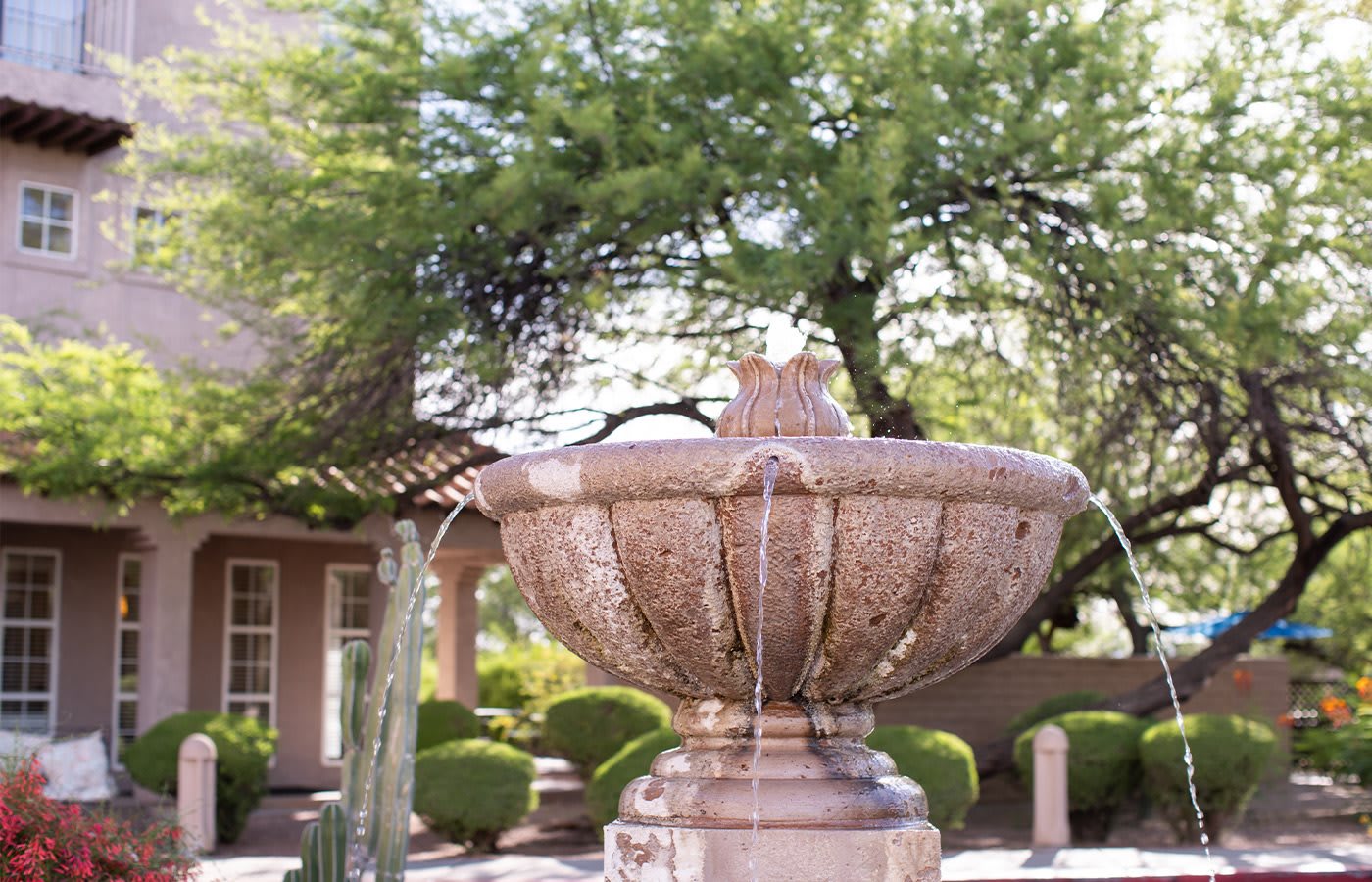 Photo of The Fountains at La Cholla