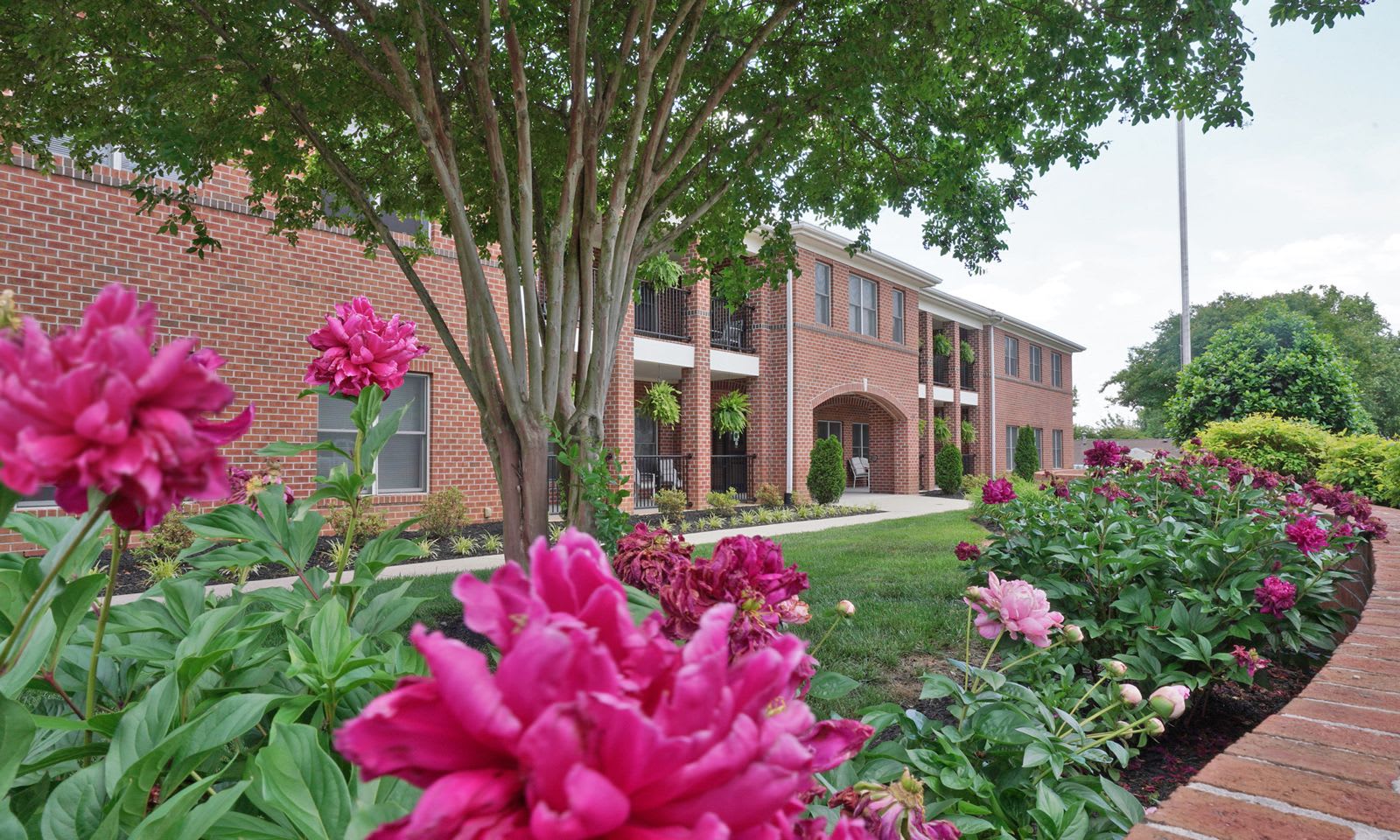 Photo of Saint Francis Manchester