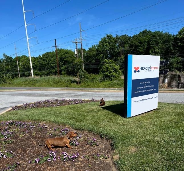 Photo of Excelcare at Newark Independent Living