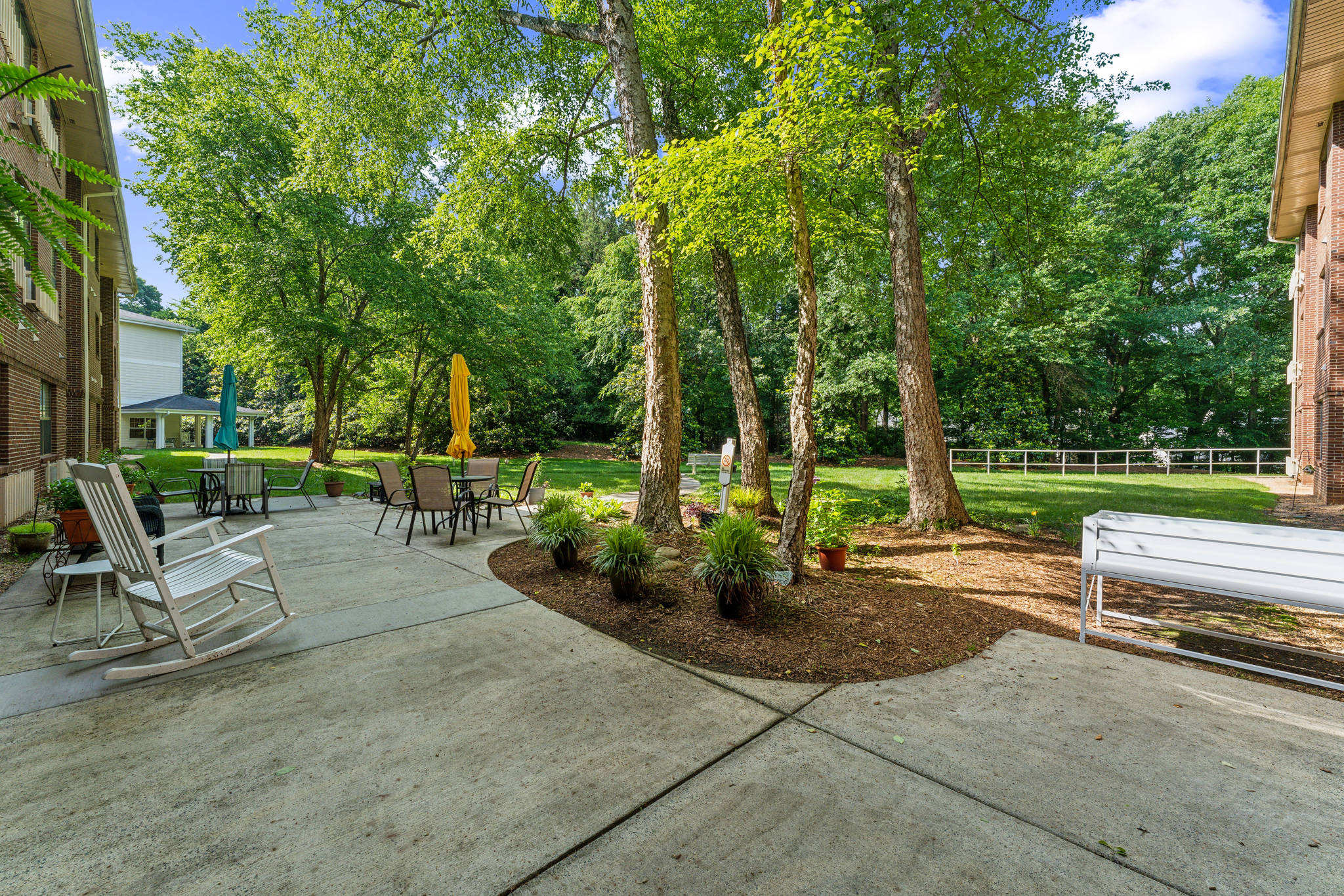 Solista Charlotte by Cogir 