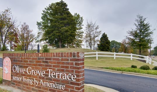 Olive Grove Terrace and Arbors at Olive Grove