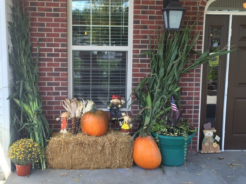 Cranberry Park of Clio Assisted Living outdoor common area