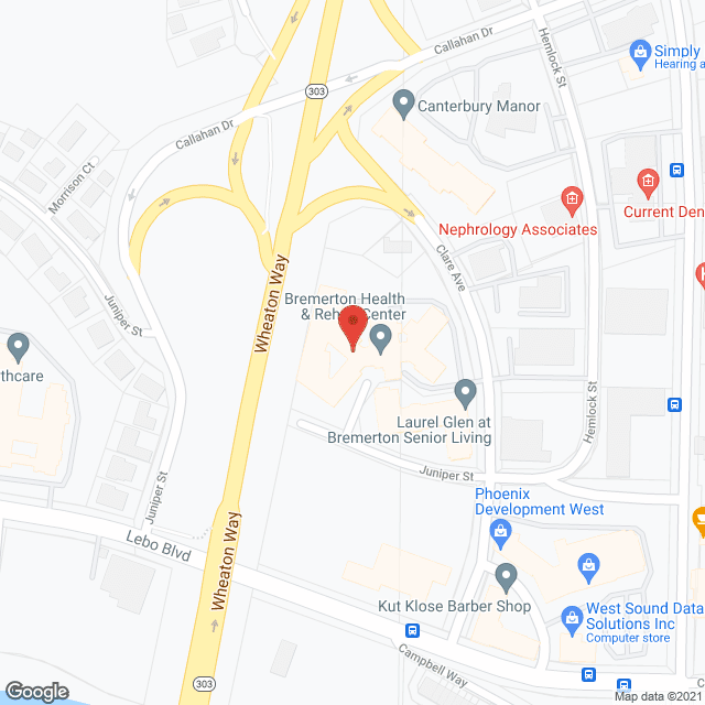 Bridgeview Care in google map