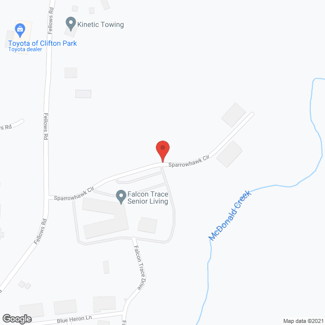 Falcon Trace in google map