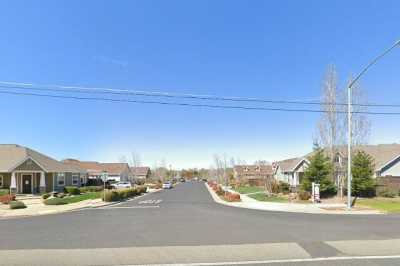 Photo of Almond Blossom  - Bidwell Heights