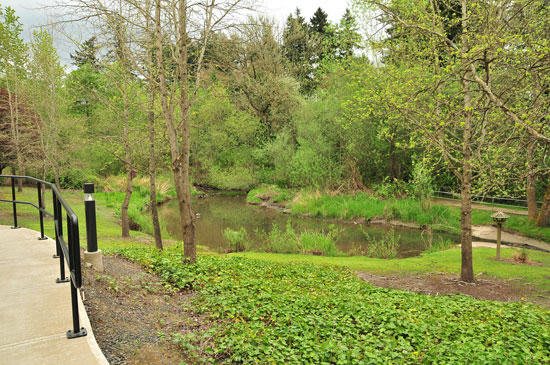 Avamere at Park Place outdoor common area