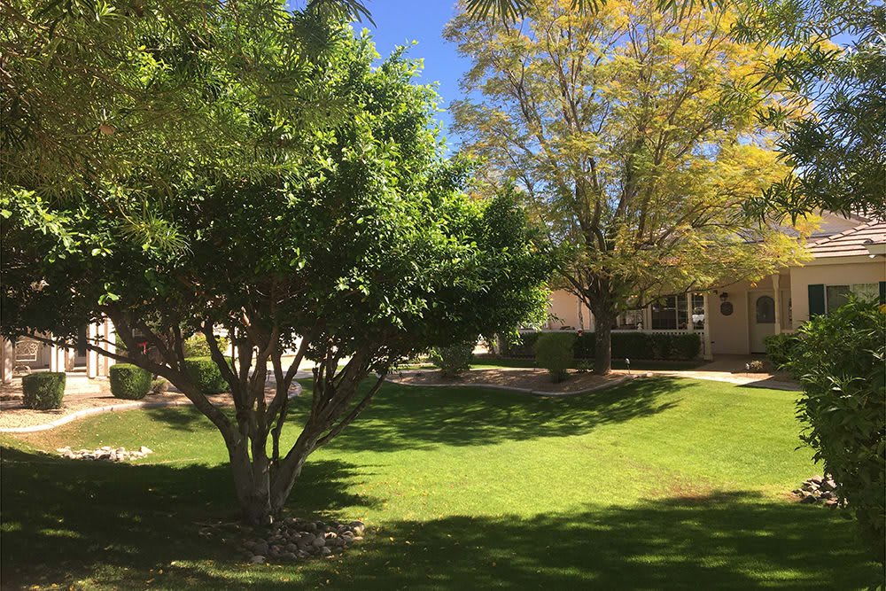 Arbor Rose Senior Care outdoor common area