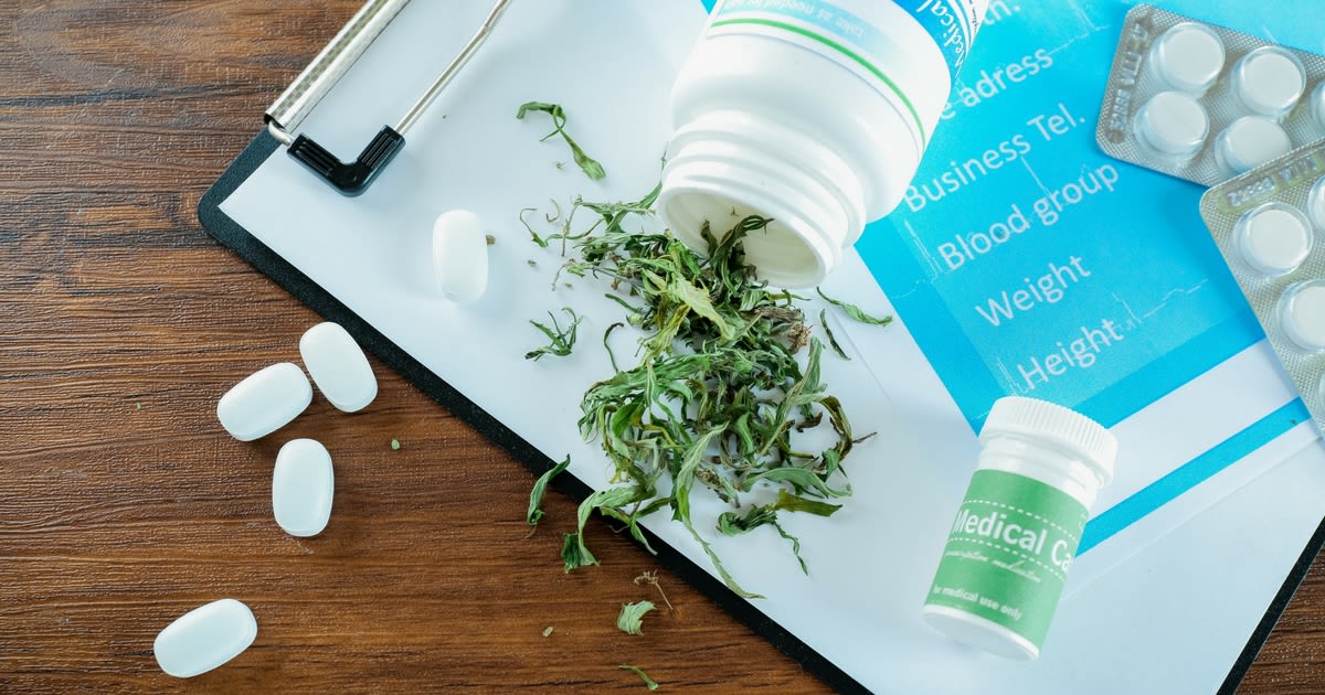 Weighing the Risks of Antipsychotics and Medical Marijuana